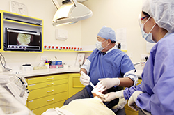 Department of Dentistry