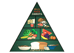 Dietetic Unit